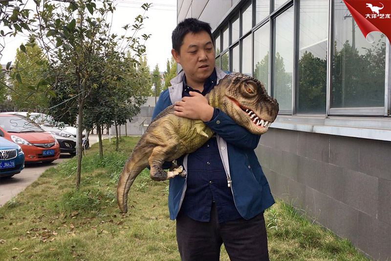 抖音同款恐龍手偶-抱在手里的恐龍寶寶