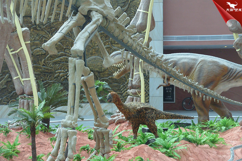 秘鲁恐龙展览客户反馈图
