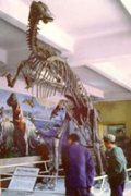 中国最早被命名的恐龙