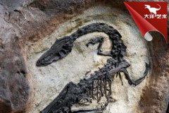 《科学》：精确测定出恐龙于6595万年前灭绝