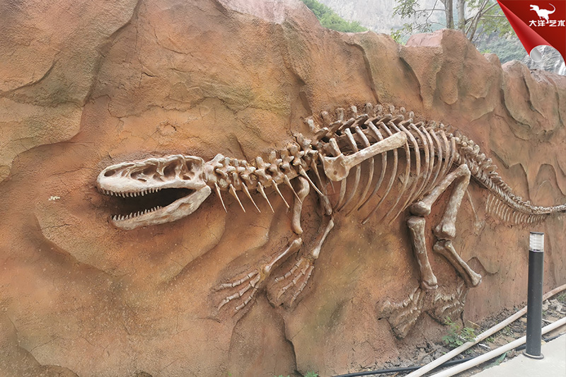 仿真恐龙骨架，恐龙化石，恐龙骨骼