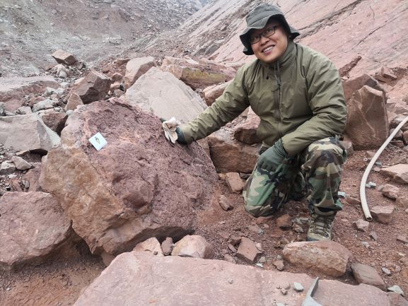 古生物学家在垮塌的岩石上发现了鸭嘴龙类足迹.jpg