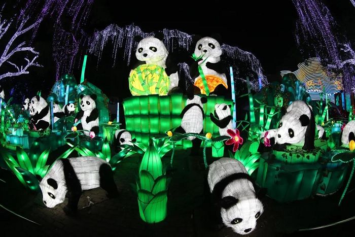 吹塑纸制作的熊猫彩灯
