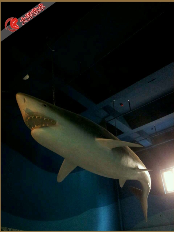 福州海洋馆主题展陈项目实景 8