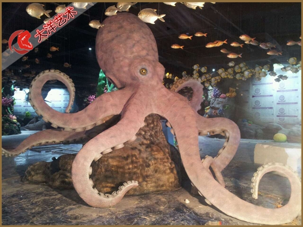 福州海洋馆主题展陈项目实景 19