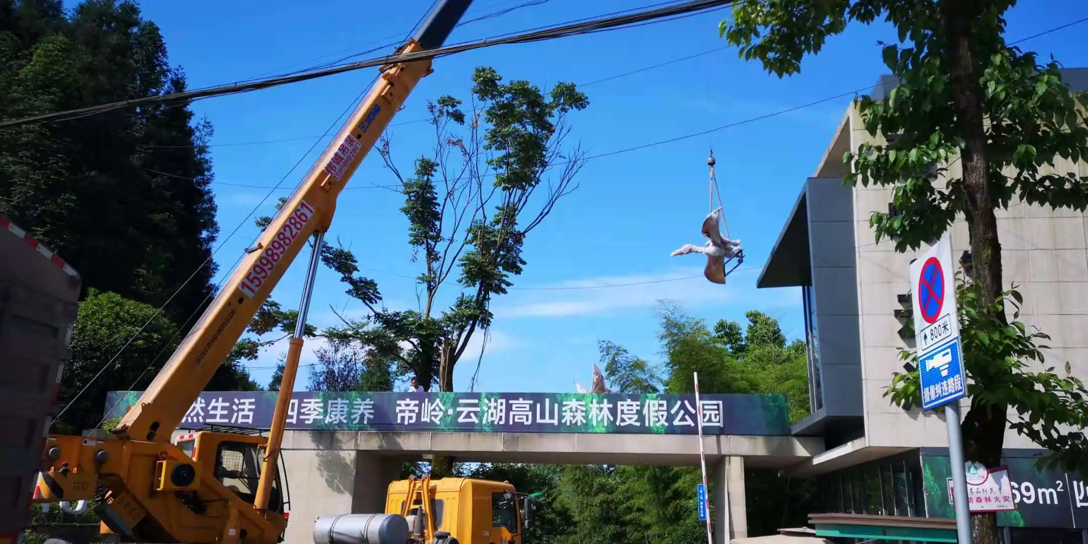 重庆帝岭云湖森林生态恐龙园项目实景 7