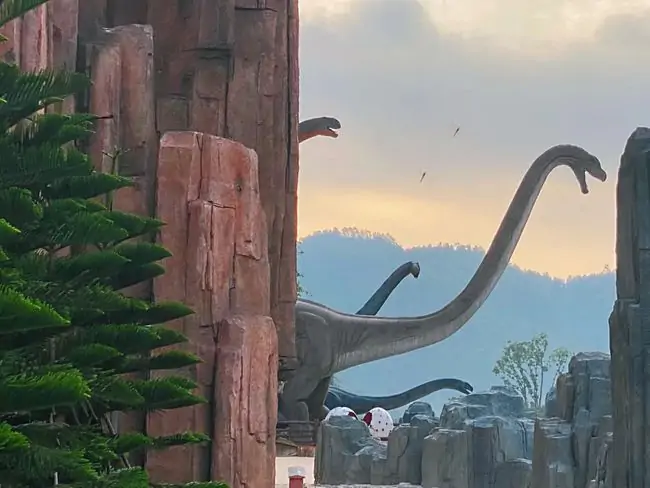 江西赣州会仙谷恐龙主题公园项目实景 32