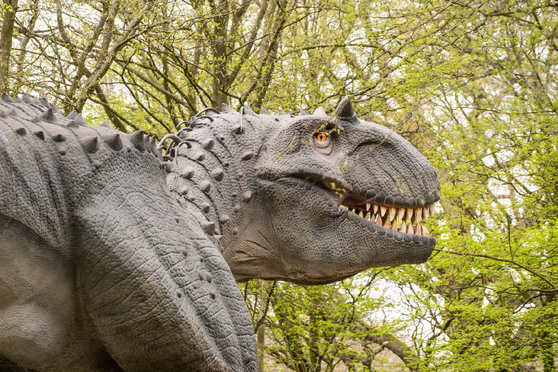 英国 Dinopark 恐龙公园项目实景 8
