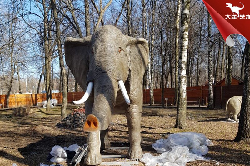 白俄罗斯动物公园安装现场