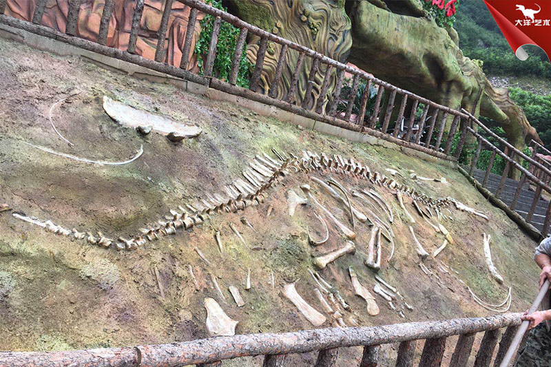 恐龙化石，恐龙骨架模型