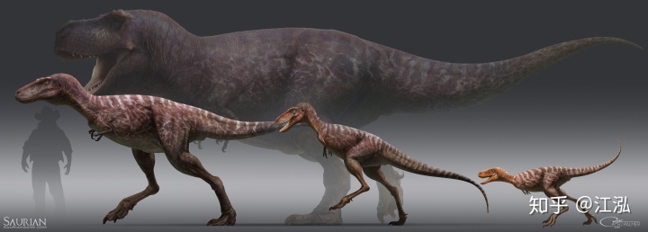 霸王龙一生分为21个阶段，其中两个阶段最为关键！