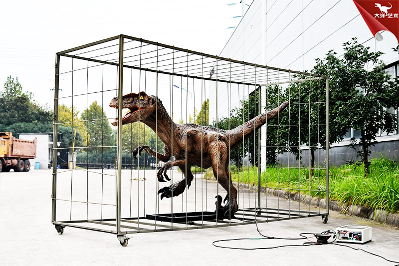 迅猛龙，装在笼子里面的仿真恐龙